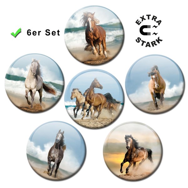 Pferde am Meer, Glasmagnettafel Magnete 6er-Set Ø 5 cm