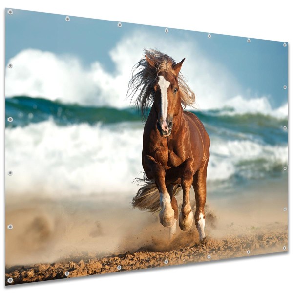 Sichtschutzbanner Pferd am Meer, 250x180 cm