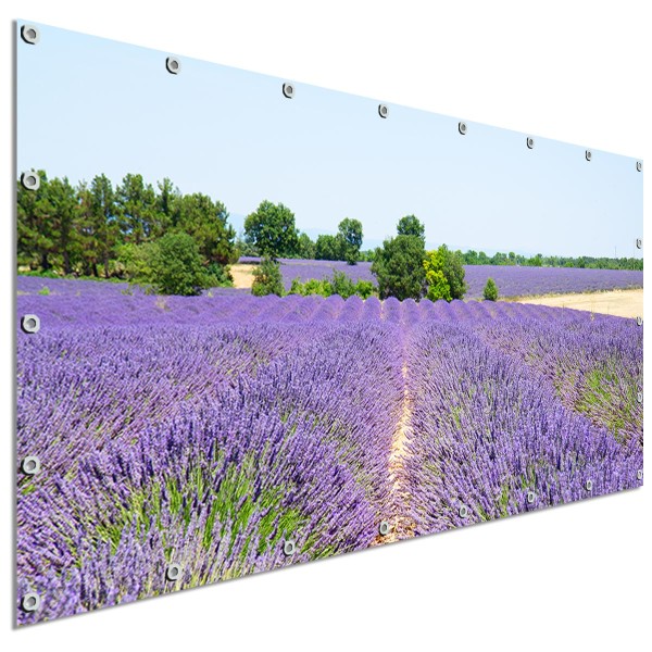 Große Motivplane Lavendelblüten, Sichtschutz Garten 340x173 cm