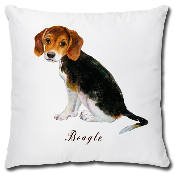 Beagle Hund, Kissen 40x40 cm
