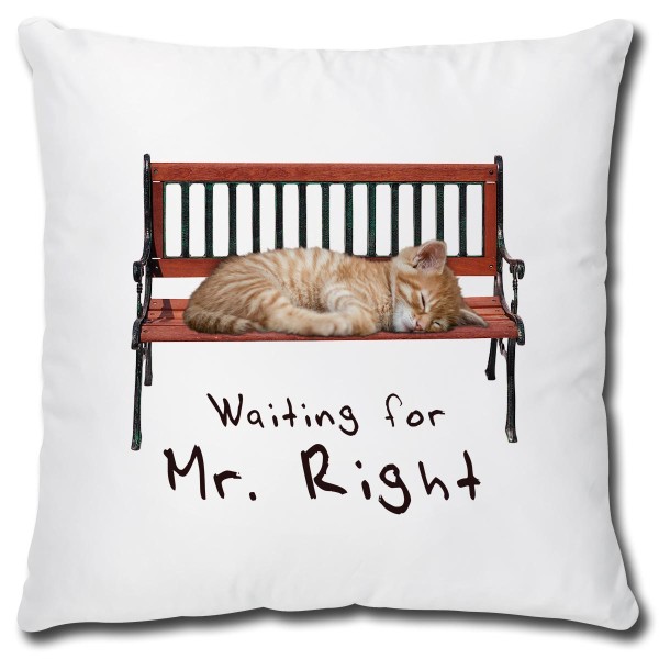 Katze Waiting for Mr. Right, Kissen 40x40 cm