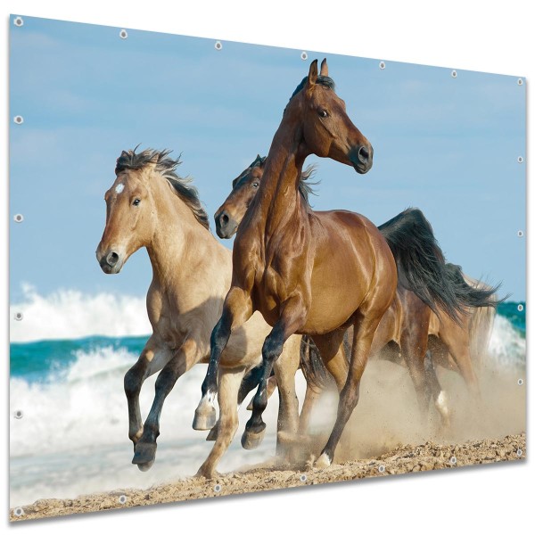 Sichtschutzbanner Pferde am Meer, 250x180 cm