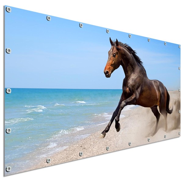 Große Motivplane Sandstrand Pferd, Sichtschutz Garten 340x173 cm