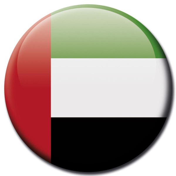 Flagge Vereinigte Arabische Emirate, Magnet 5 cm