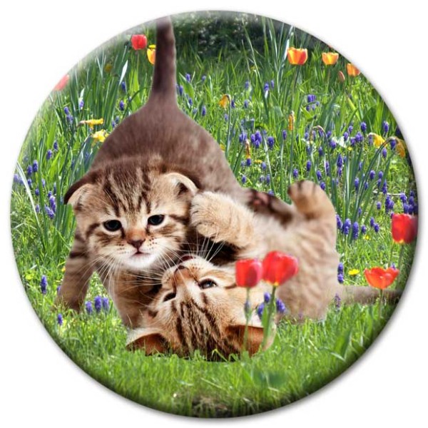 Magnet Katze - Katzen in der Gartenwiese - Ø 5 cm