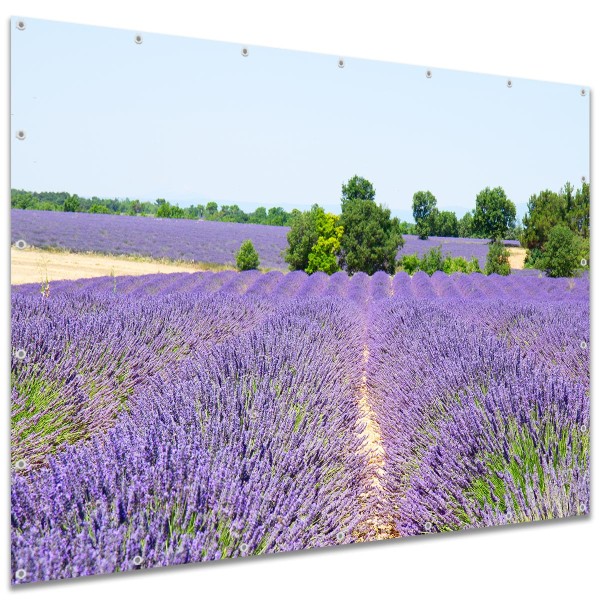 Sichtschutzbanner Lavendelfeld, 250x180 cm