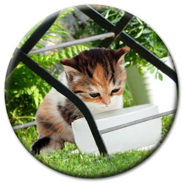 Magnet Katze - Katze unterm Gartenstuhl - Ø 5 cm