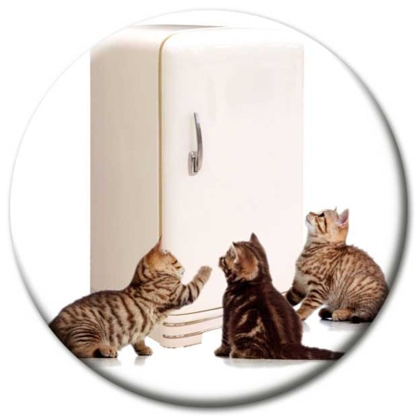 Magnet Katze - Katzen am Kühlschrank - Ø 5 cm