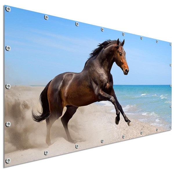 Sichtschutzbanner Pferd am Strand, 340x173 cm