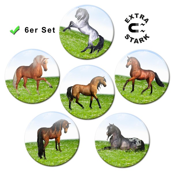 Pferde auf der Wiese, Glasmagnettafel Magnete 6er-Set Ø 5 cm