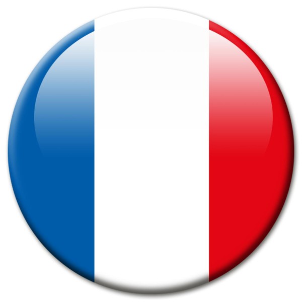 Flagge Frankreich Magnet 5 cm