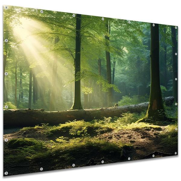 Sichtschutzbanner Wald Lichtung, 250x180 cm