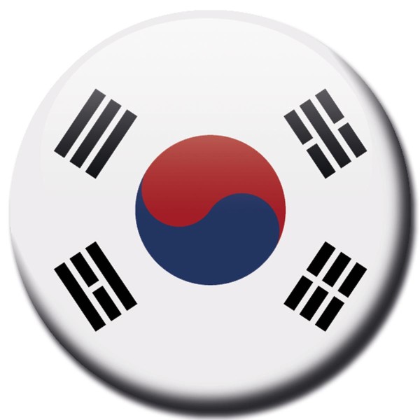 Flagge Korea Süd, Magnet 5 cm