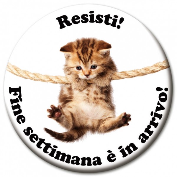 Magnet Fun & Motivation Katze "Resisti!" - Ø 5 cm