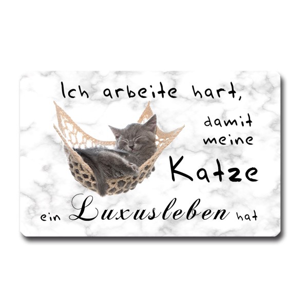 Katze Luxusleben, Magnet 8,5x5,5 cm