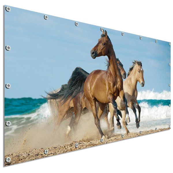 Große Motivplane Strandpferde am Meer, Sichtschutz Garten 340x173 cm