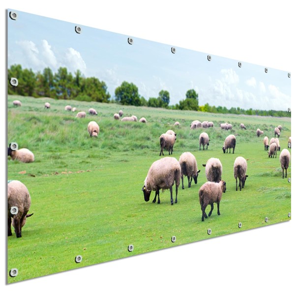 Große Motivplane Schafe auf der Weide, Sichtschutz Garten 340x173 cm