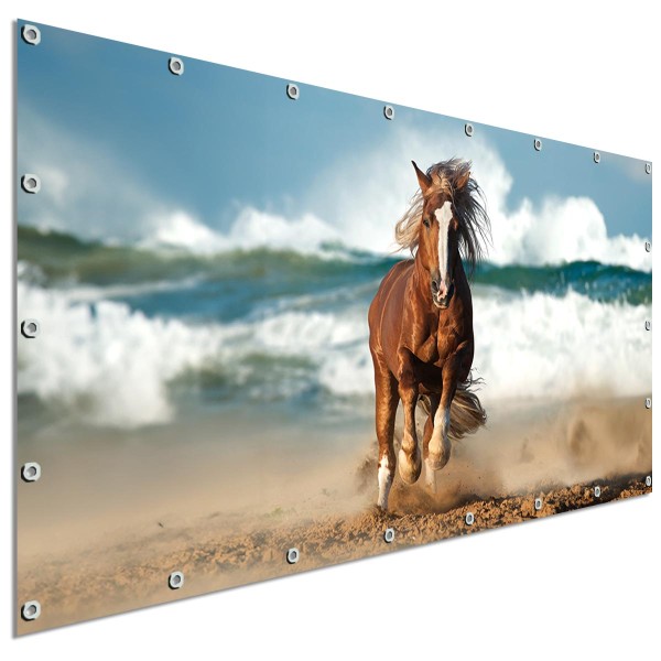 Große Motivplane Strandpferd am Meer, Sichtschutz Garten 340x173 cm