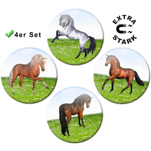 Magnete für Glasmagnettafel 4er-Set Pferde auf der Wiese - Ø 5 cm