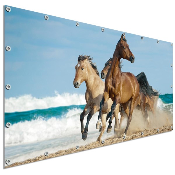 Sichtschutzbanner Pferde am Meer, 340x173 cm