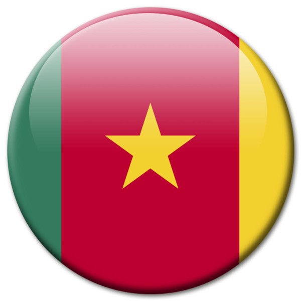 Flagge Kamerun, Magnet 5 cm