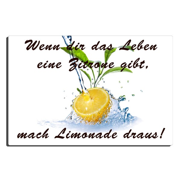 Zitronen Limonade, Fun Schild 30x20 cm