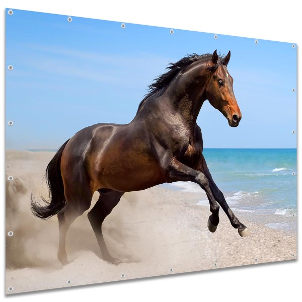Sichtschutzbanner Pferd am Strand, 250x180 cm