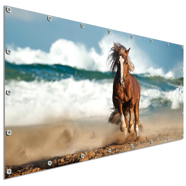 Sichtschutzbanner Pferd am Meer, 340x173 cm